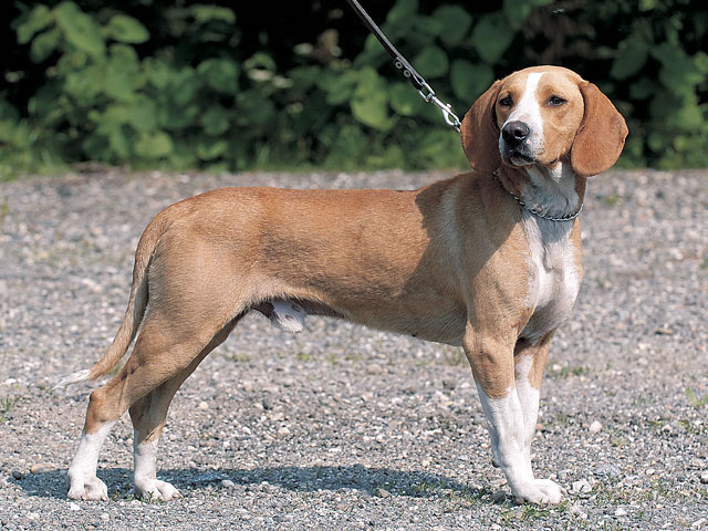 �����Ƒ��Ɍ}����O��